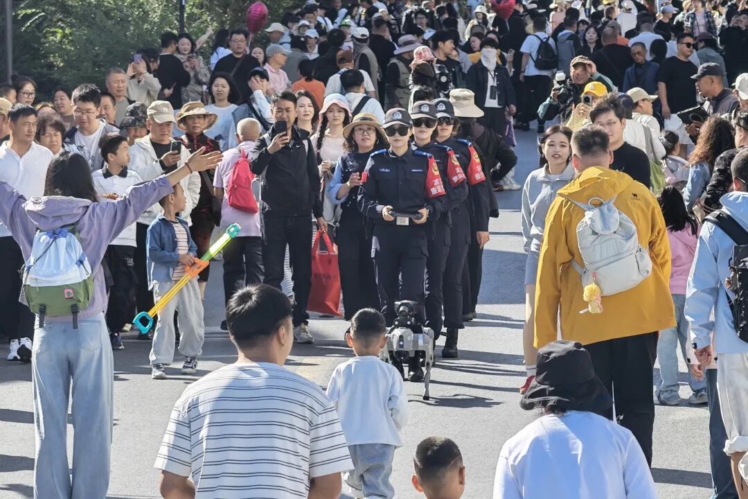 图片 图片